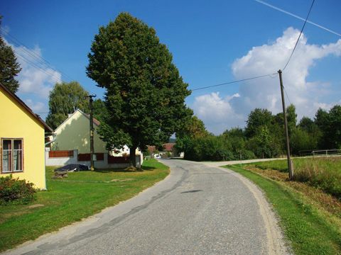 Foto 63